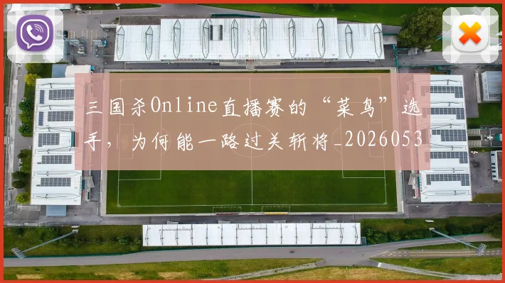 三国杀Online直播赛的“菜鸟”选手,为何能一路过关斩将_20260530144238
